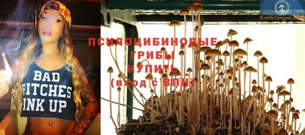 дурь Дубна