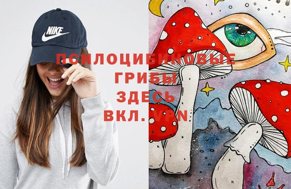 PSILOCYBIN Осинники
