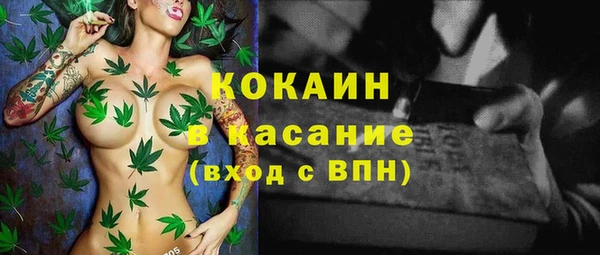 PSILOCYBIN Осинники